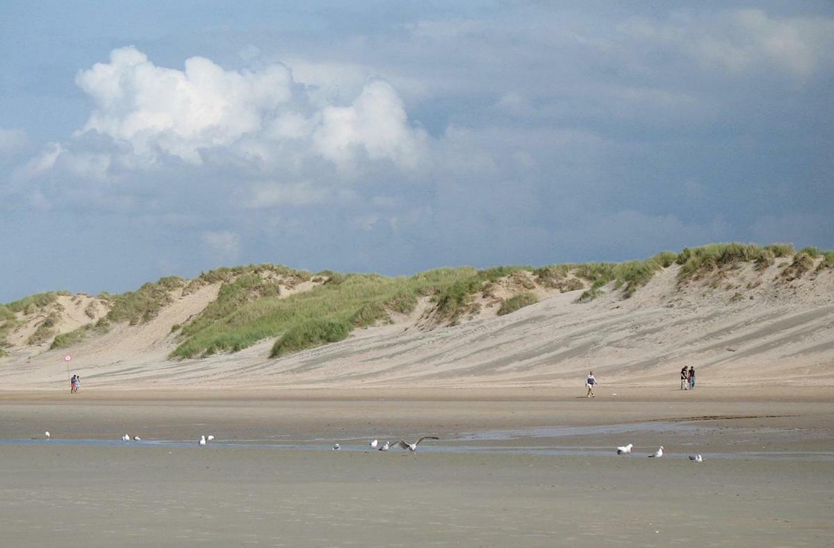 Vakantieverblijf Aan De Dijk Hotel Hippolytushoef Kültér fotó